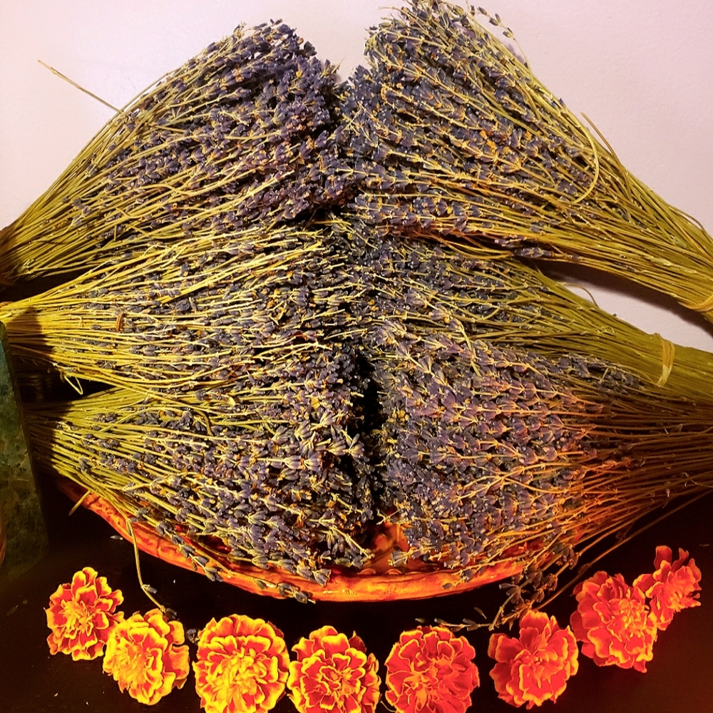Dried Lavender Bundles For Wedding & Home Decor